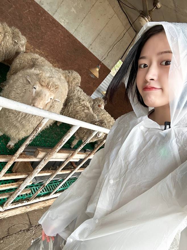 아이브 안유진 (제공: 스타쉽)