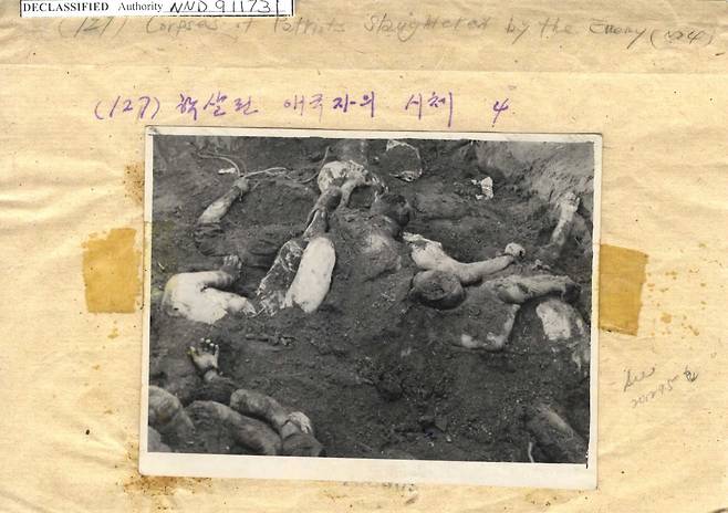 국립중앙도서관 소장 미군 노획 북한군 사진묶음 '학살된 애국자의 시체'