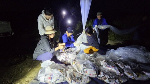 ▲ 대북 전단 날리는 탈북민 단체 겨레얼통일연대[겨레얼통일연대 제공]