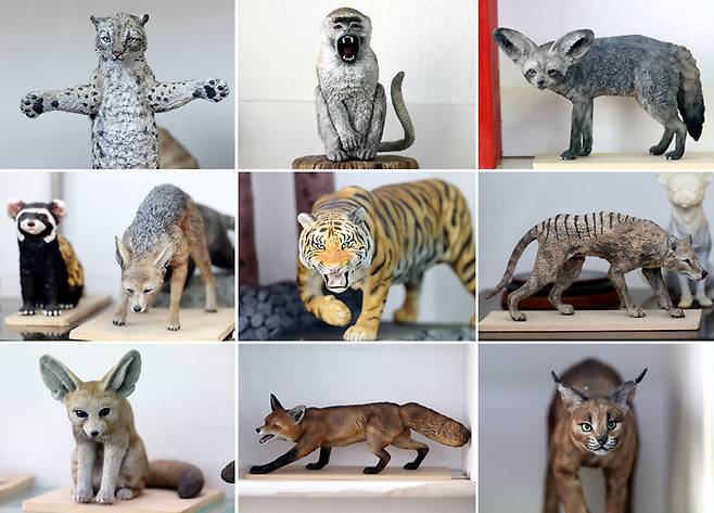 야생동물 작품들