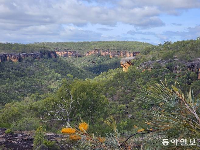 호주 퀸즐랜드주 케이프요크 반도 자라말리 암벽화 투어. 퀸즐랜드=전승훈 기자 raphy@donga.com