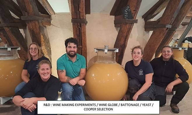 와인 글로브 실험.