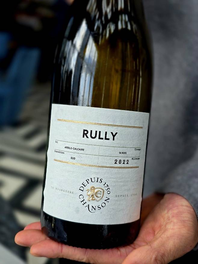 도멘 샹송 룰리. 최현태 기자