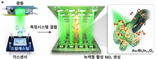 녹색광과 청색광에서 이산화질소를 초고감도로 감지할 수 있는 가스 센서 기술 개념도. KAIST 제공