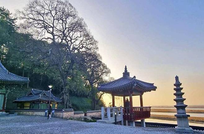 망해사 낙서전과 팽나무 자연유산위원회 회의록에 실린 사진 [국가유산청 제공. 재판매 및 DB 금지]