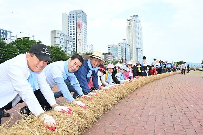 울산 중구 태화강 체육공원에서 김영길 중구청장과 참석자들이 태화강마두희축제 울산마두희 큰줄당기기에 쓰일 몸통 줄을 제작하고 있다. 울산시 중구 제공