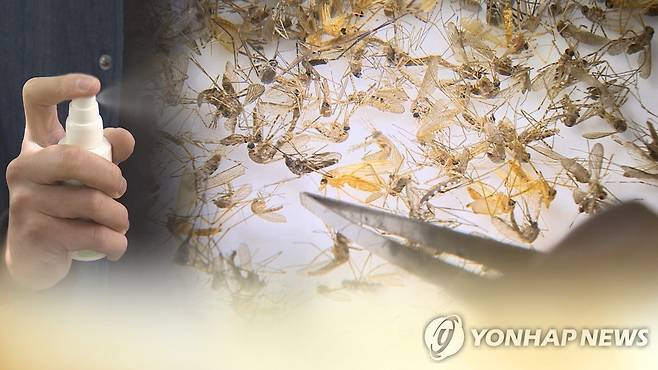 말라리아 환자 증가세…야외활동 유의해야 (CG) [연합뉴스TV 제공]