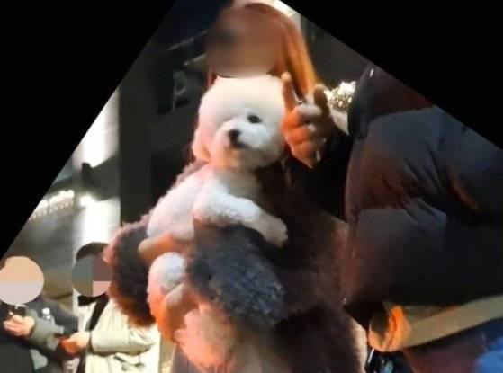 검찰이 새벽에 서울 강남에서 음주운전을 하다 오토바이 배달원을 치어 숨지게 한 20대 클럽 DJ 안모씨에게 징역 15년을 구형했다. 사진은 해당 DJ가 사고 직후 강아지를 안고 있는 모습. 보배드림 캡처
