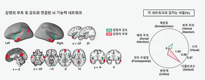 정의 부호 및 강도와 연결된 뇌 기능적 네트워크.[IBS 제공]