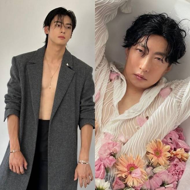 사진=왼쪽부터 차은우, 차은수/각각 차은우, 박명수 소셜미디어 캡처