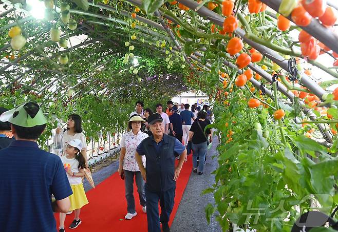 지난해 열린 제21회 퇴촌 토마토축제 때 모습.(광주시 제공)