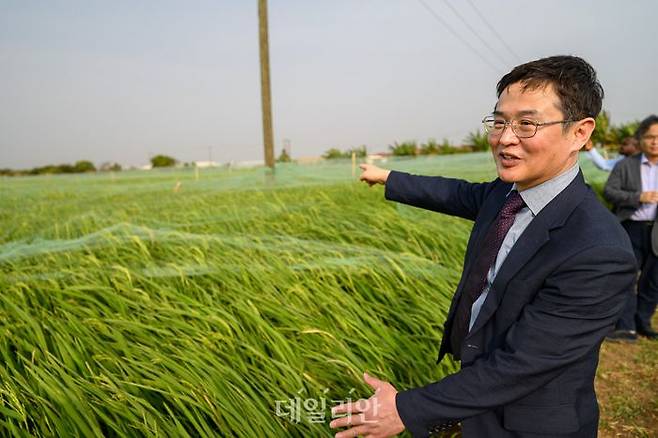 김황용 농촌진흥청 기술협력국장이 지난 3월 가나에서 벼 생산단지 현장을 둘러보고 있다. ⓒ데일리안 배군득 기자