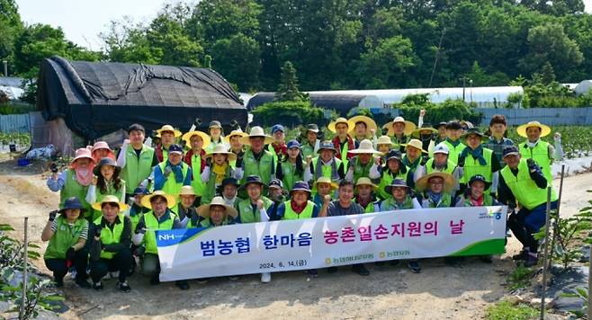 14일 안양원예농협 관내 가지 농가에서 농협하나로유통·농협유통 임직원들이 뙤약볕에도 아랑곳하지 않고 가지 순자르기를 하며 구슬땀을 흘렸다/사진제공=농협하나로유통·농협유통