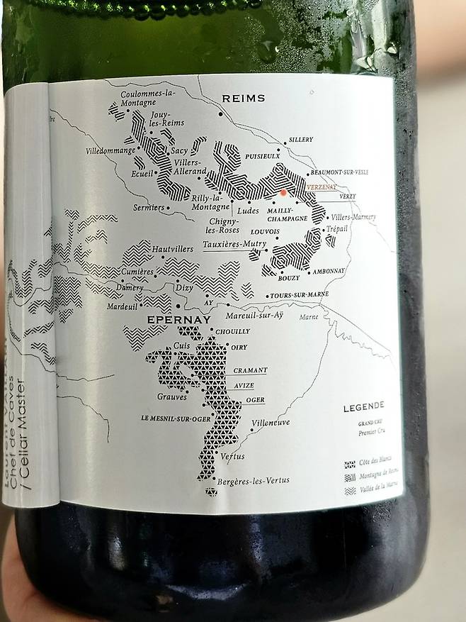 백레이블 포도밭 위치 정보. 최현태 기자