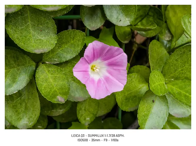 viewimage.php?id=29b4d72ff1d334b667bcc2a004d4&no=24b0d769e1d32ca73fe980fa11d028315d554368bac55d95d5bf54b6a5802c0f8e5e7ec3997de4fac4c7c4913b4c7268f2b521e72db2b7a2501375be2b8fbcb91d16456d9756