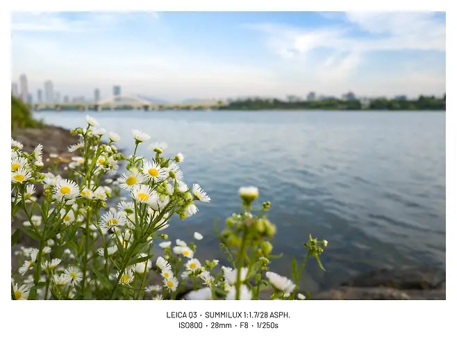 viewimage.php?id=29b4d72ff1d334b667bcc2a004d4&no=24b0d769e1d32ca73fe980fa11d028315d554368bac55d95d5bf54b6a5802c0f8e5e7ec3997de4fac4c7c4913b4c7268f2b521e72db2b7a2501079ef28ddb4bed66c5cdb5592