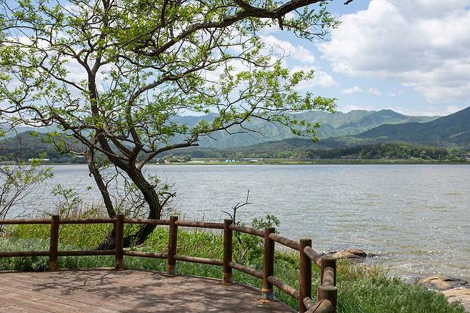 한적하고 여유로운 풍경의 화진포 호수.