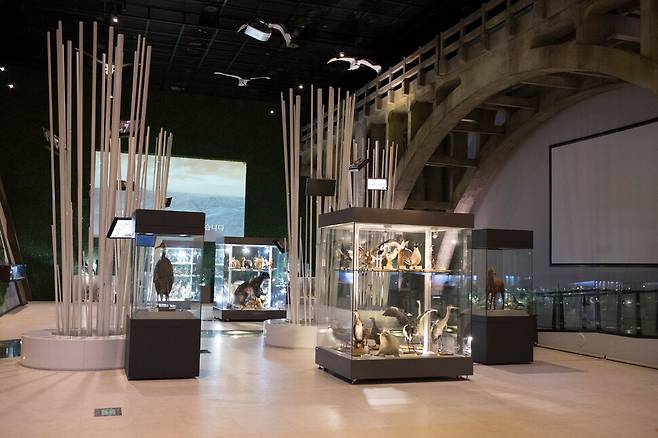 디엠제트(DMZ)박물관 내부 모습.