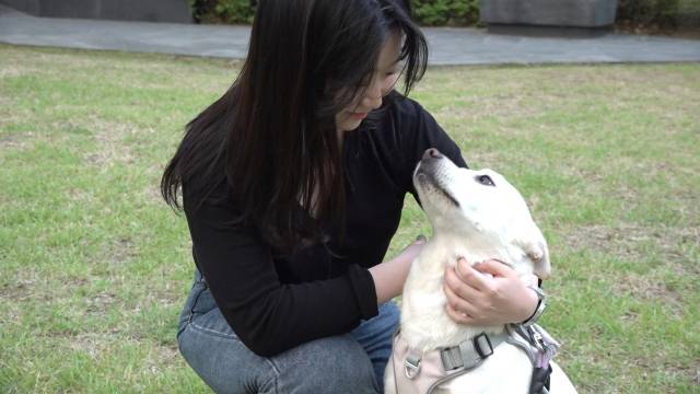 산책을 즐기던 떡국이가 목덜미를 쓰다듬어 달라며 기자의 앞에 자리잡은 모습. 최민석 기자.