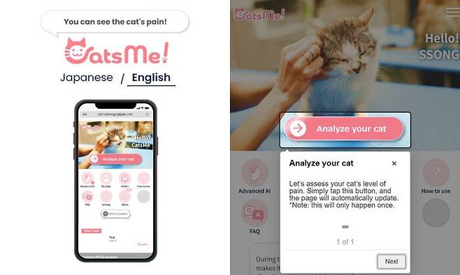 고양이 통증 감별하는 AI 앱 '캣츠미' 페이지 사진. 고양이 사진을 업로드해 통증을 분석해준다. (사진=캣츠미(CatsMe!) 앱)