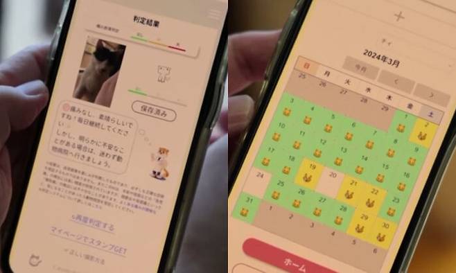 캣츠미를 이용한 기타카타 마유미 씨가 보여주는 치이 통증 분석 결과 화면(왼쪽)과 치이의 통증 결과 기록이 담긴 화면.(오른쪽)(사진='CNA' 유튜브 영상 캡처)