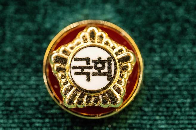 제22대 국회의원 배지. / 사진=연합뉴스