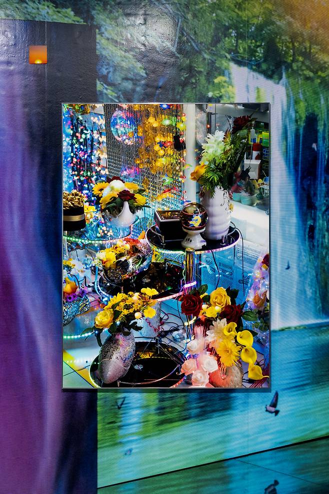 파라 알 카시미, 드래곤 마트 조명 디스플레이, 2018. [바라캇 컨템포러리]