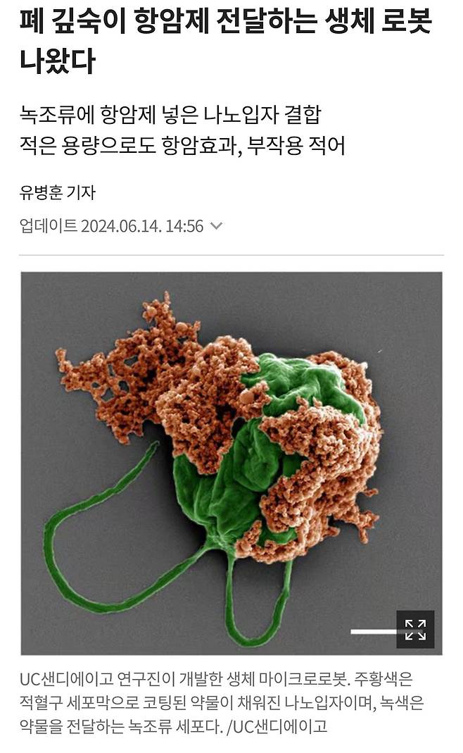 IMG_8148.jpeg 현재 난리났다는 폐암 치료제 근황