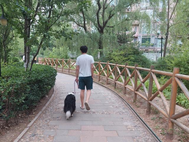 1일 중국 베이징 차오양구의 한 공원에서 한 남성이 반려견과 함께 산책하고 있다. 베이징=조영빈 특파원