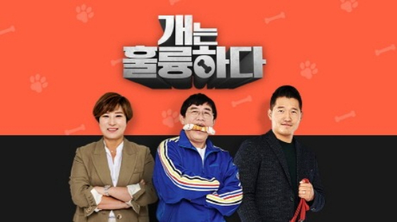 ‘개는 훌륭하다’. 사진lKBS