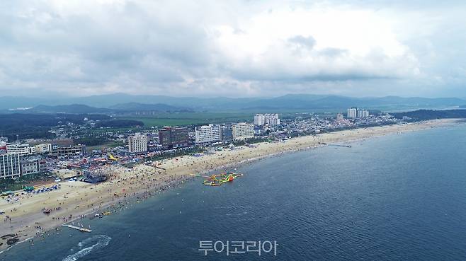 대천해수욕장전경/사진-보령시