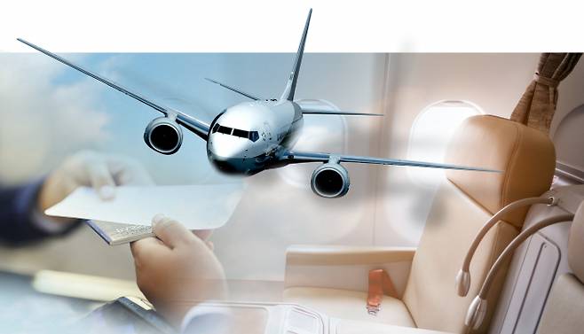 /그래픽=강지호 기자