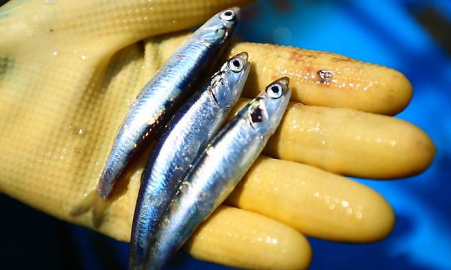 사진=게티이미지뱅크 제공