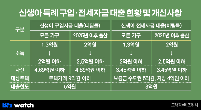 신생아 특례 구입·전세자금대출 현황 및 개선사항/그래픽=비즈워치