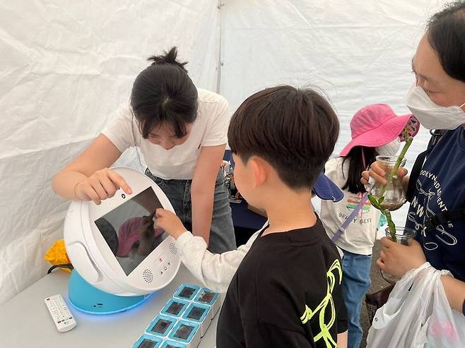 [순천=뉴시스] 순천시 한 초등학교 어린이가 돌봄로봇을 조작하고 있다. (사진=순천시 제공) 2024.06.19. photo@newsis.com *재판매 및 DB 금지