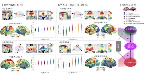 성장에 따라 변화하는 뇌 속 시상 연결지도 시뮬레이션 [IBS 제공. 재판매 및 DB 금지]