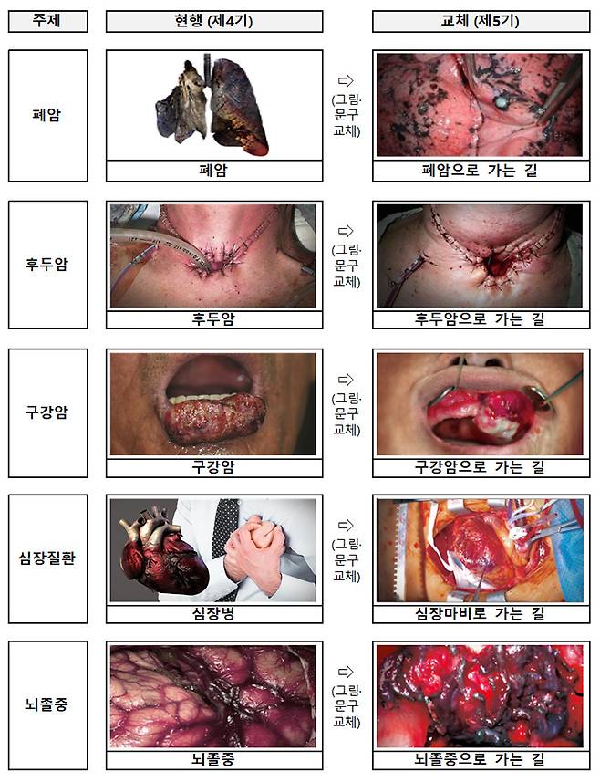 제5기 담뱃갑 경고그림 및 문구 표기 내용. (자료=보건복지부)