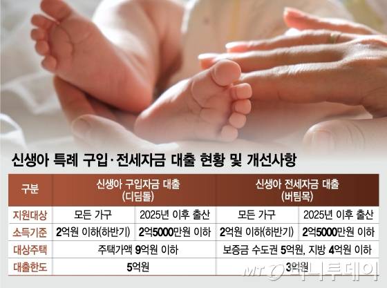 신생아 특례 구입·전세자금 대출 현황 및 개선사항/그래픽=김현정