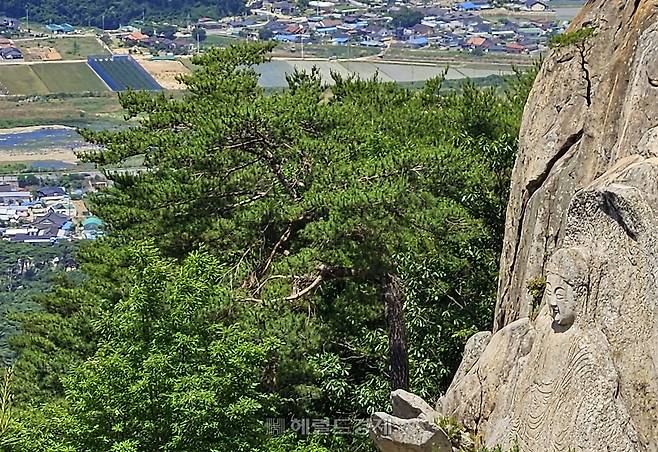 경주 남산의 삼릉계곡 마애석가여래좌상. 마치 세상을 굽어보는 듯하다.