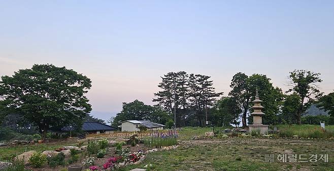 천룡사지. 지금은 삼층석탑만이 과거 이곳에 절이 있었음을 알려주고 있다.