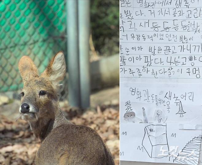 시네마 달, 김정호 청주동물원 진료사육팀장(사진 오른쪽) 제공