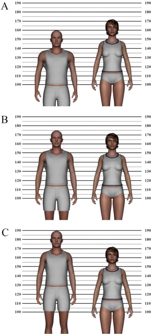 이미지 속 남성들의 키는 최소 160㎝부터 최대 190㎝였고, 각 남성은 상대적인 비교를 위해 172㎝ 키의 여성 옆에 그려졌다. / 사진=진화심리과학 저널