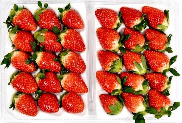 논산시농협조합공동사업법인