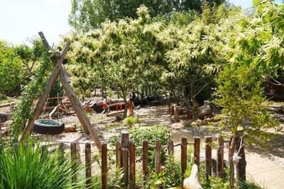 Photo provided to Xinhua shows chestnut blossoms in Mengzhuang Town