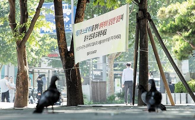 지난 13일 서울 종로구 종각역 앞 ‘비둘기에게 모이를 주지 말라’는 현수막 아래 비둘기들이 앉아 있다. /박상훈 기자