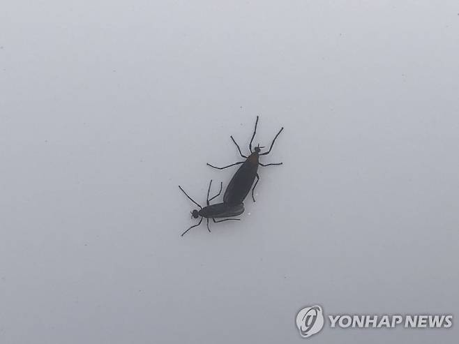 [사진 제공 = 연합뉴스]