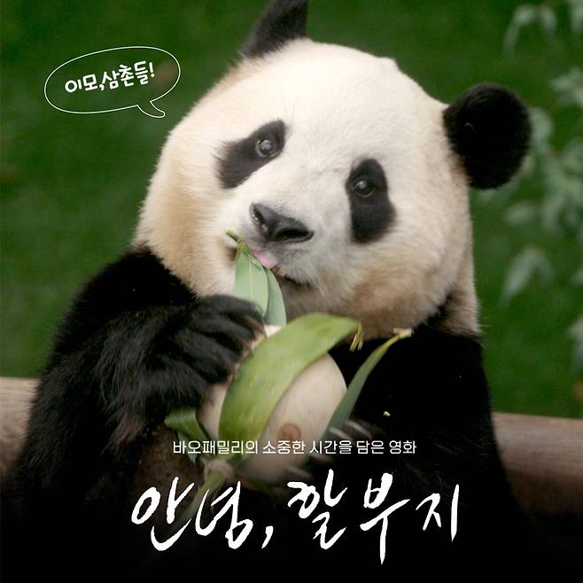 푸바오 등 바오패밀리의 영화 ‘안녕 할부지’는 가을에 개봉된다.
