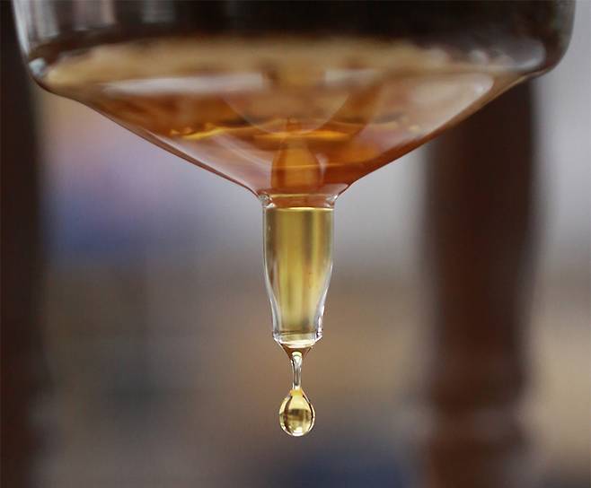 실온에서 서서히 추출되는 콜드브루 커피. 공기 중의 세균 감염보다는 작업자의 손에 의한 오염이 더 문제를 유발한다. 커피비평가협회 제공