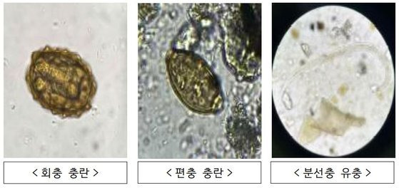 통일부는 24일 기자단에 배포한 ‘북한 살포 오물 분석결과’ 보도 참고자료에서 북한이 이번에 살포한 오물 내에 포함된 토양을 분석한 결과 기생충이 다수 발견됐다고 밝혔다. 통일부 제공