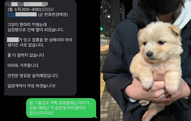 고양이 입양을 위해 거짓말하는 A씨와 입양된 개 ‘진티즈’의 마지막 모습.(사진=동물권행동 카라 제공)